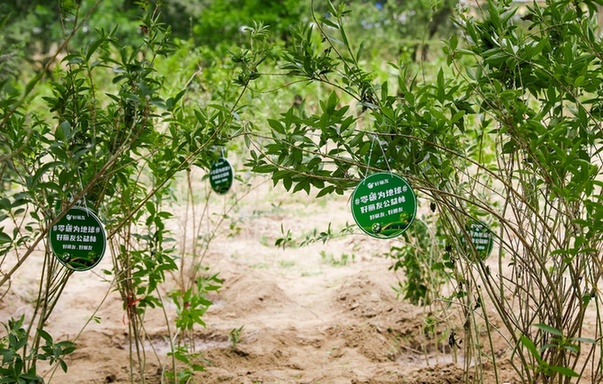 suncitygroup太阳集团(中国)-官方网站